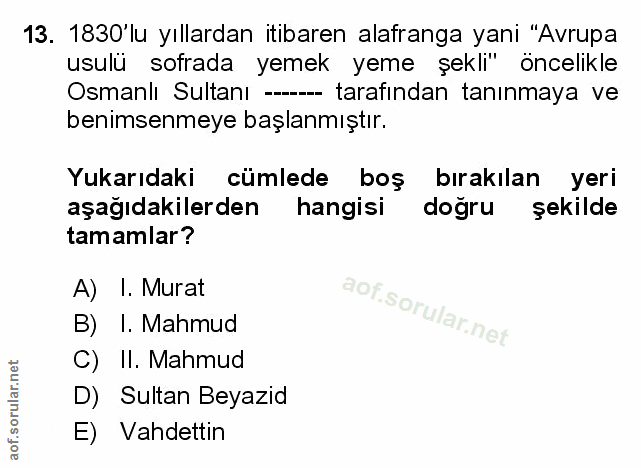 Soru 13