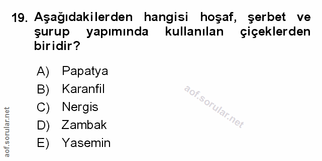 Soru 19