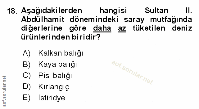 Soru 18