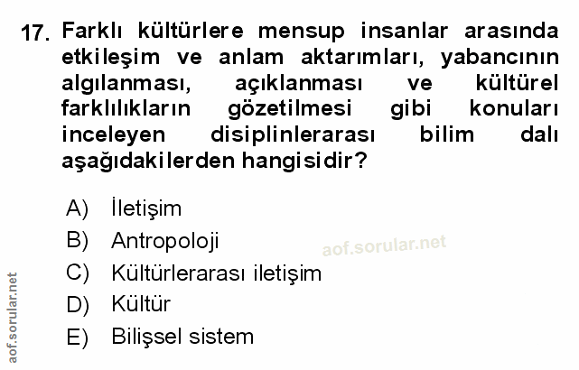 Soru 17