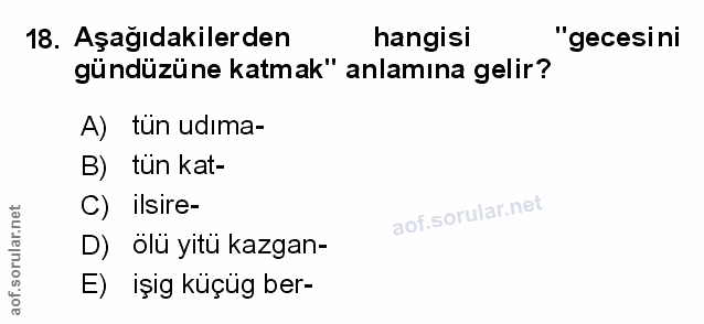 Soru 18
