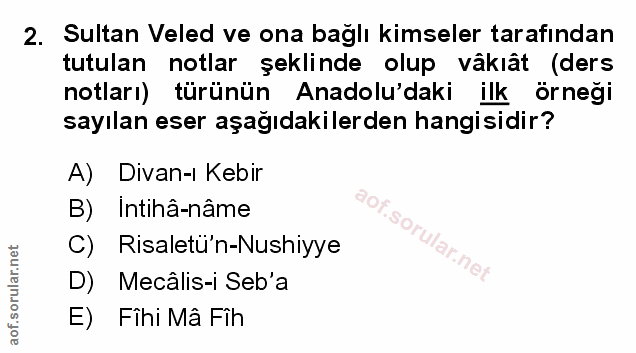 Soru 2