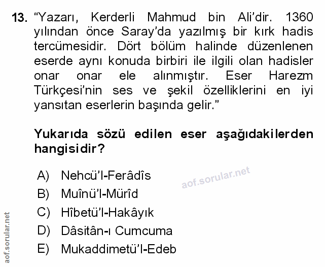 Soru 13