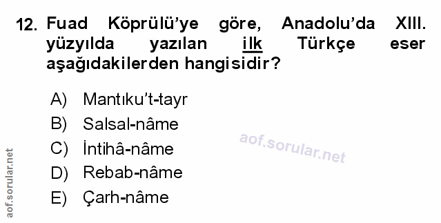Soru 12