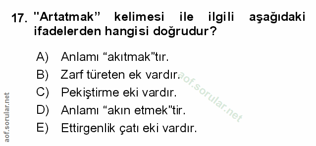 Soru 17