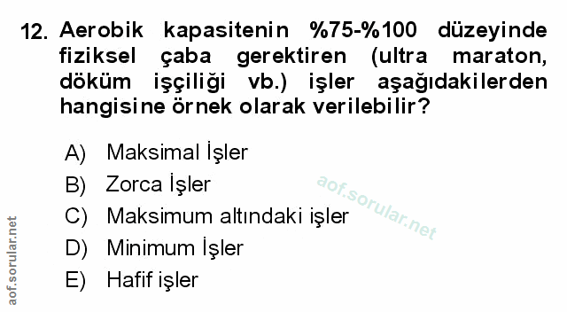 Soru 12