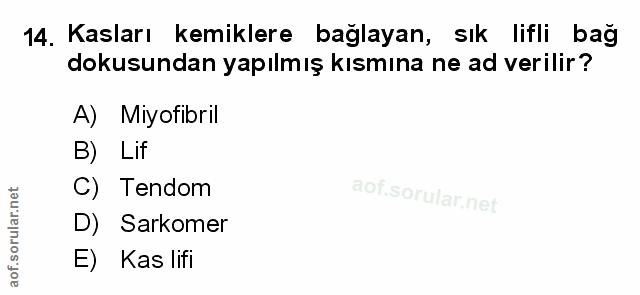 Soru 14