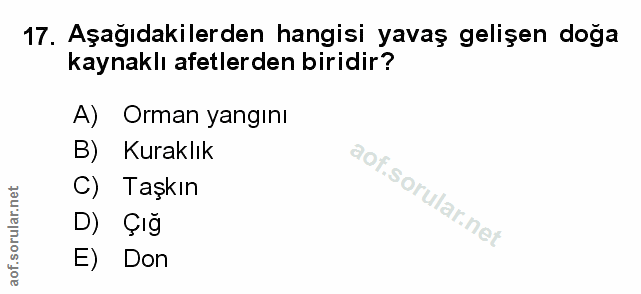 Soru 17
