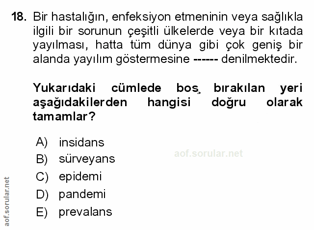 Soru 18