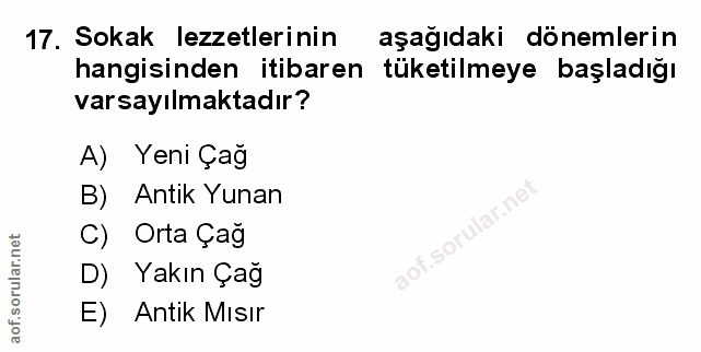 Soru 17