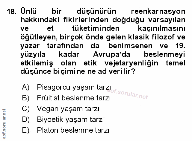 Soru 18