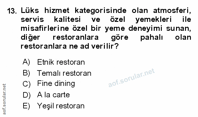 Soru 13