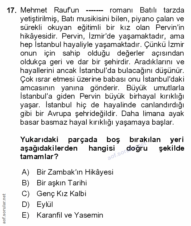 Soru 17