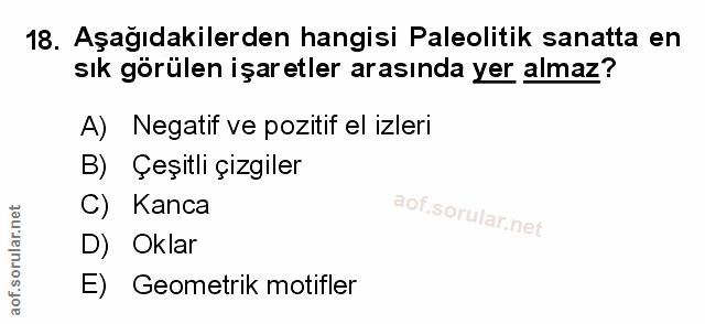 Soru 18