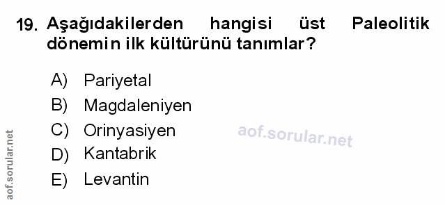 Soru 19
