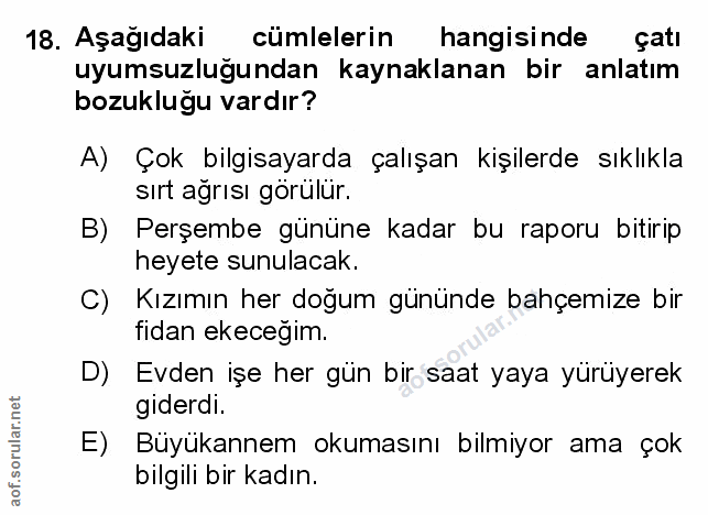 Soru 18