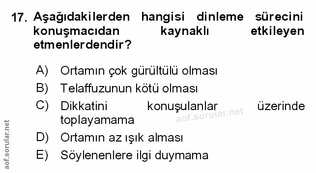 Soru 17