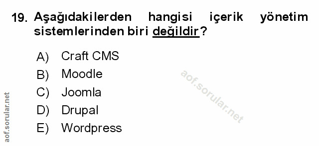 Soru 19