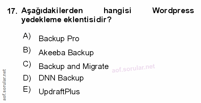 Soru 17