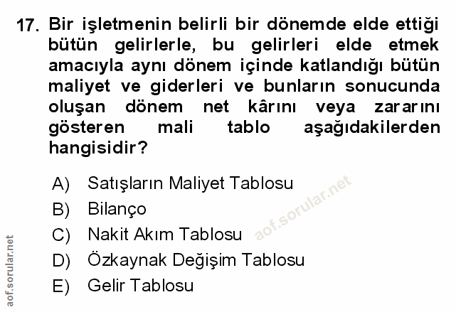 Soru 17