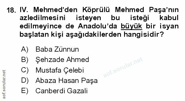 Soru 18