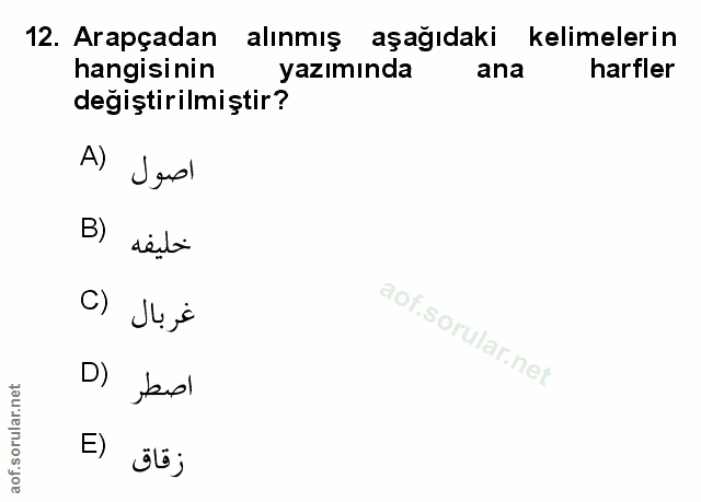 Soru 12