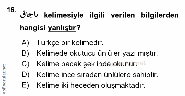 Soru 16