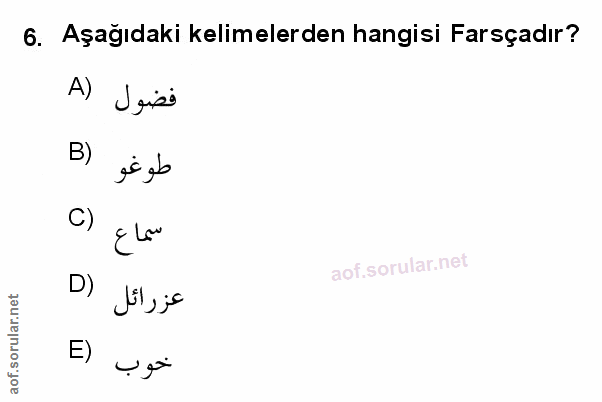 Soru 6