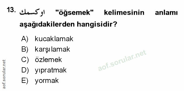 Soru 13