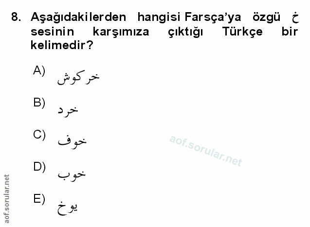 Soru 8