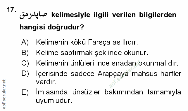 Soru 17