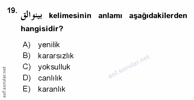 Soru 19