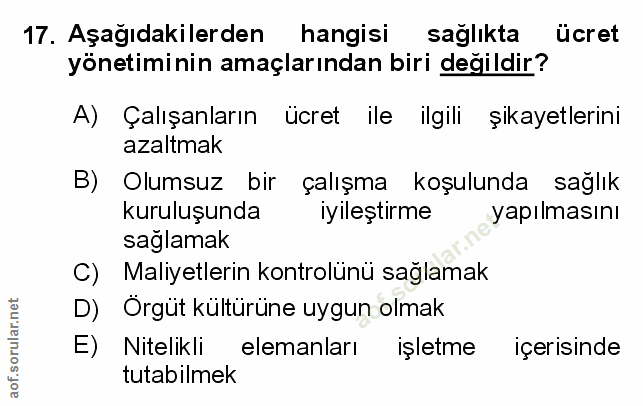 Soru 17