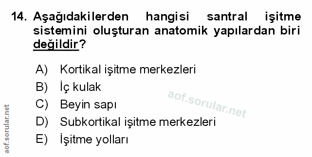 Soru 14