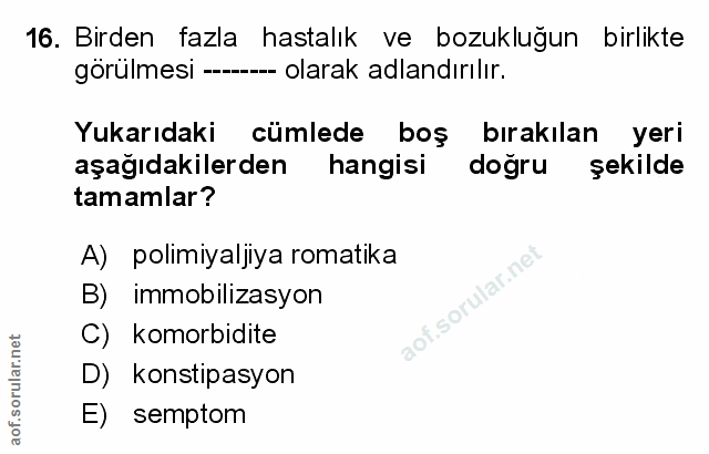 Soru 16