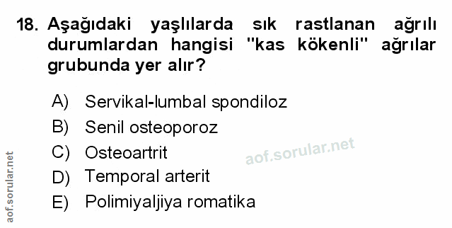 Soru 18