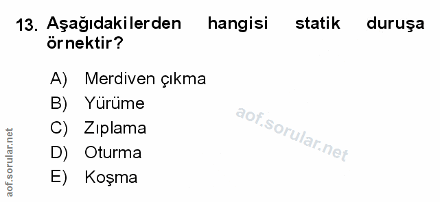 Soru 13