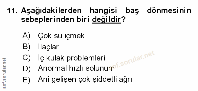 Soru 11