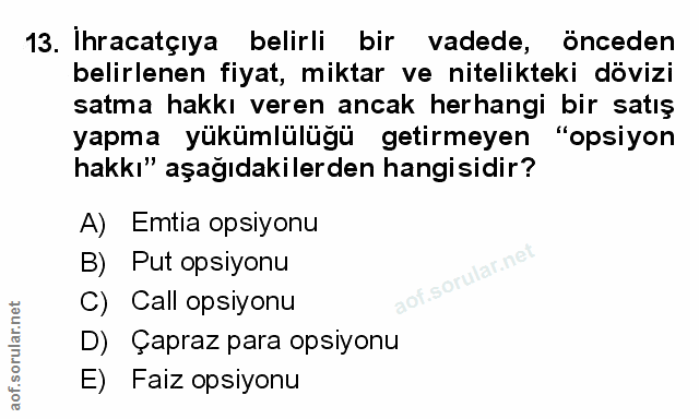 Soru 13