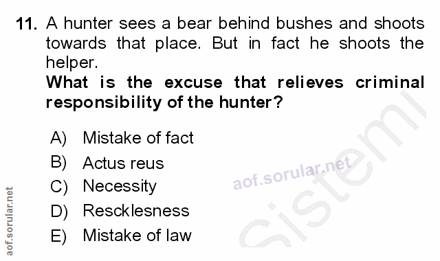 Soru 11
