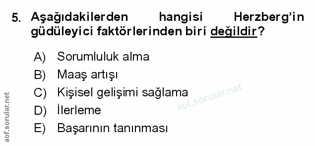Soru 5