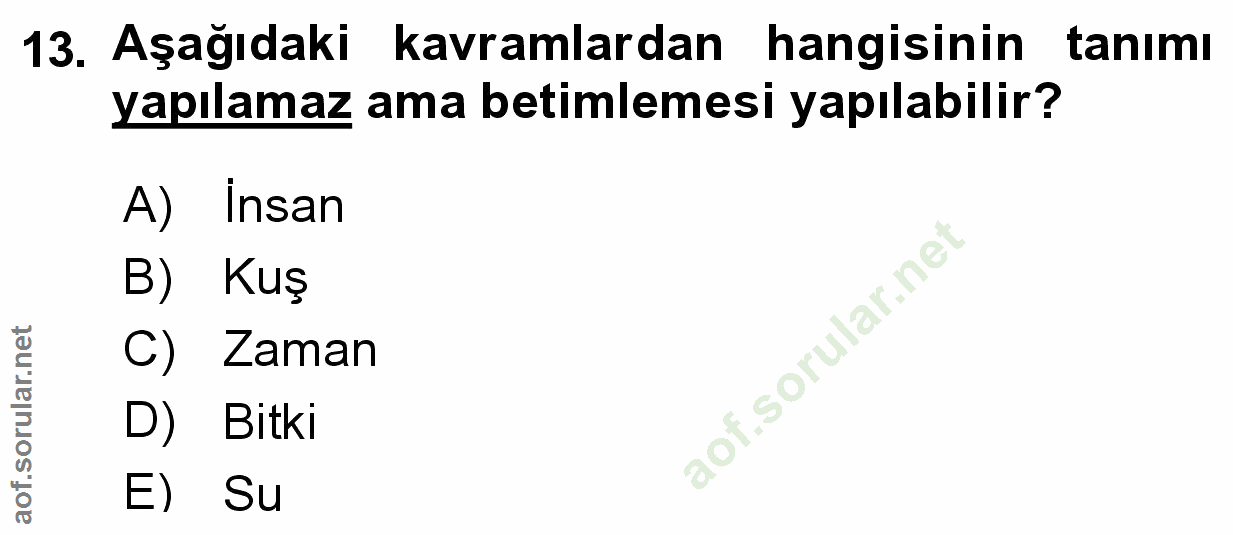 Soru 13