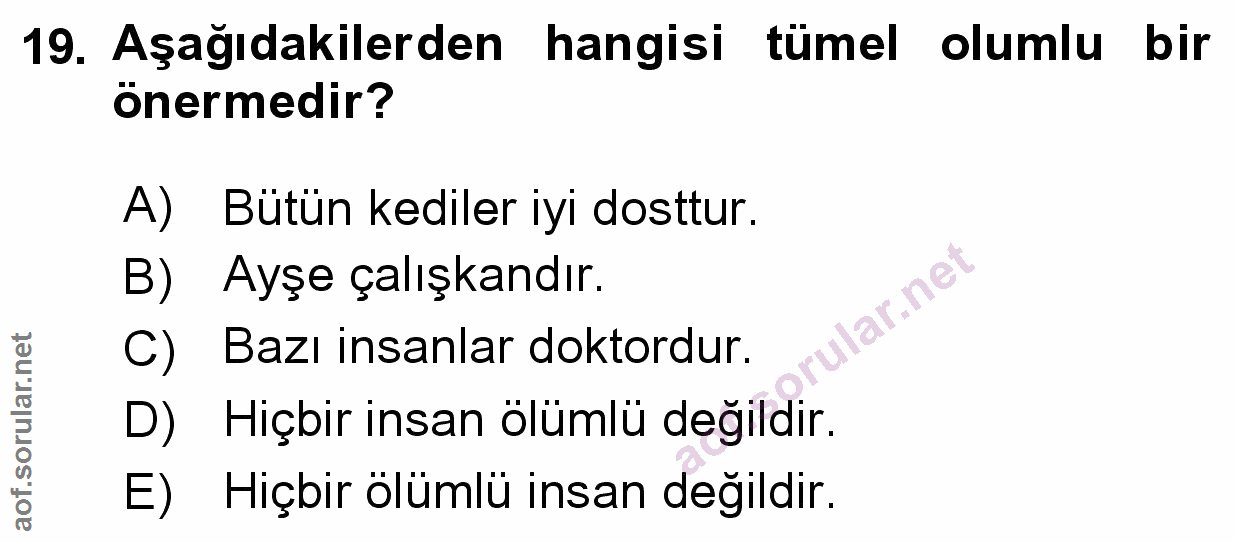 Soru 19
