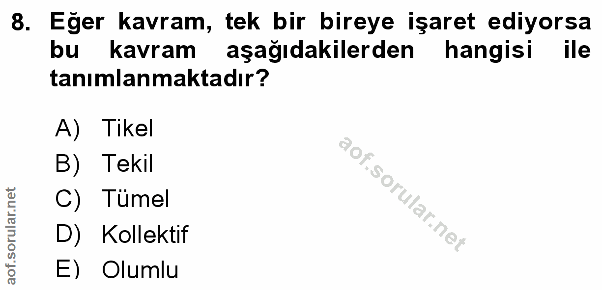 Soru 8
