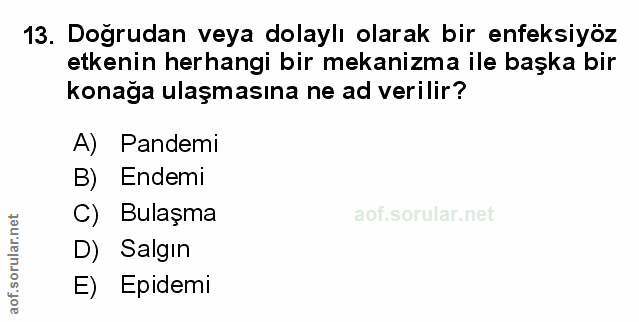 Soru 13