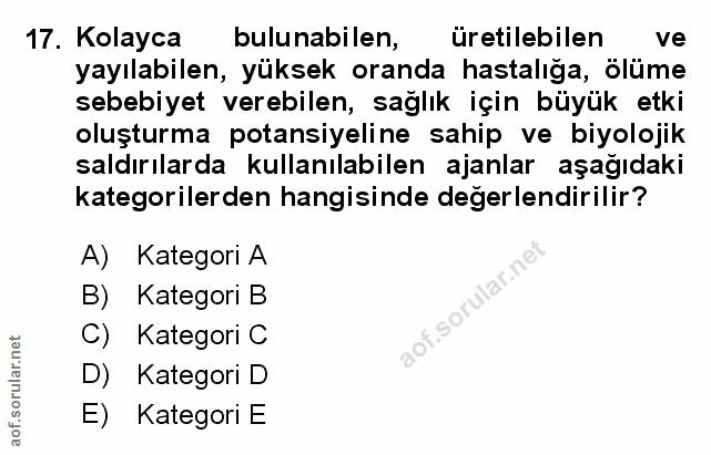 Soru 17