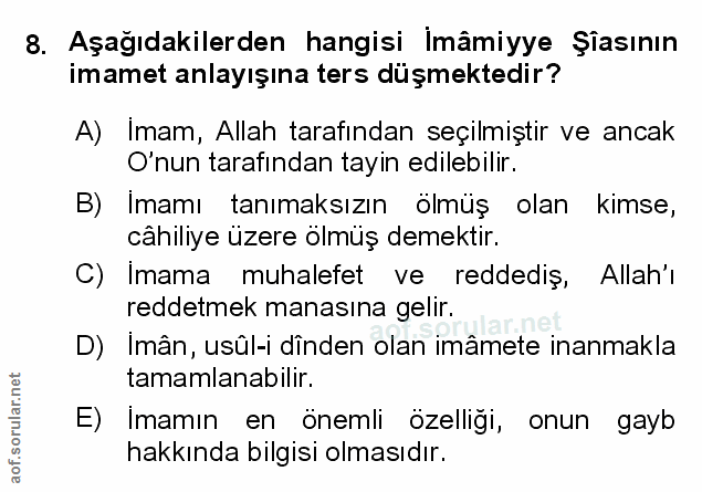 Soru 8