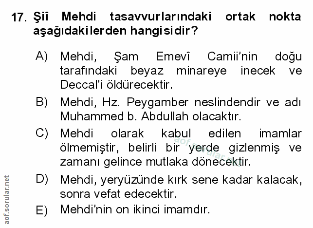 Soru 17
