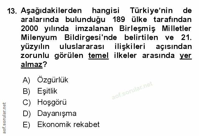 Soru 13