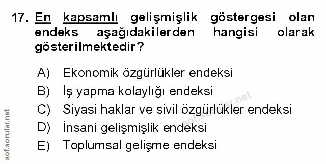 Soru 17